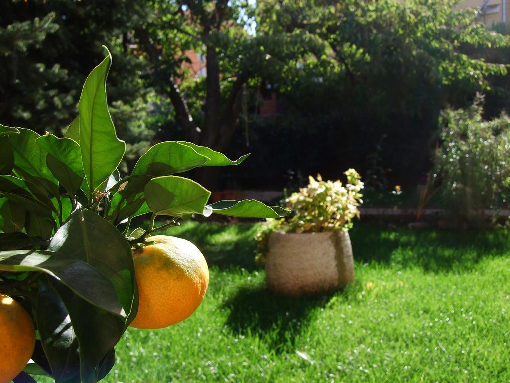 Margerita Apartment&studio Rovigno